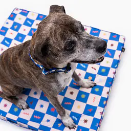 COPY OF Custom mattress for dog or cat - Master