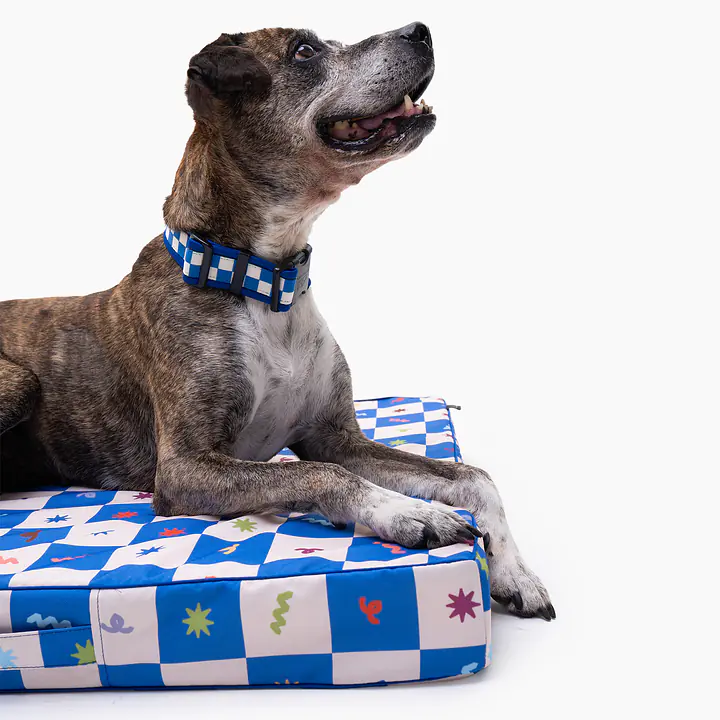 COPY OF Custom mattress for dog or cat - Master
