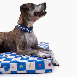 COPY OF Custom mattress for dog or cat - Master