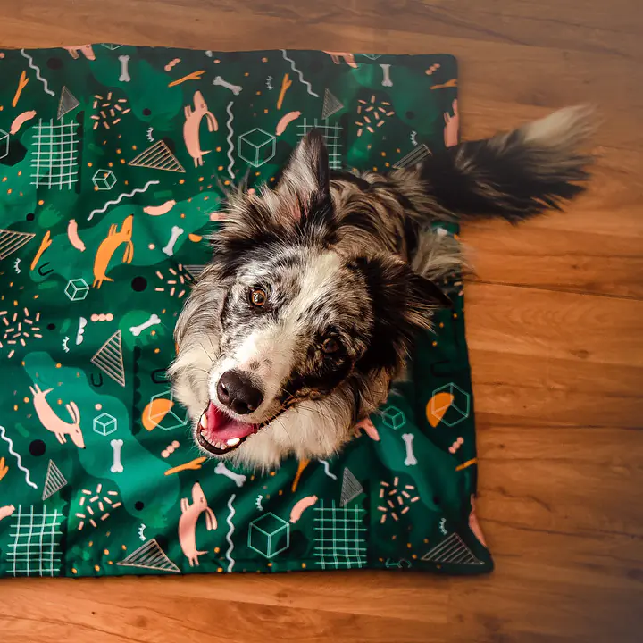 Mata "Psy na jawie" - Master