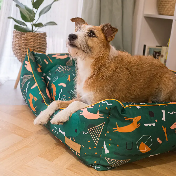 Couch ''Sleepy dogs'' - Master