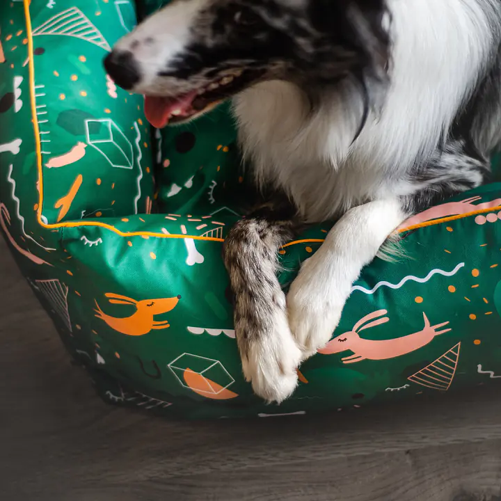 Couch ''Sleepy dogs'' - Master