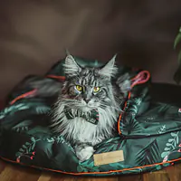 WYPRZEDAŻ Legowisko okrągła poducha z kapturem dla psa lub kota "Welcome to the jungle" - Master