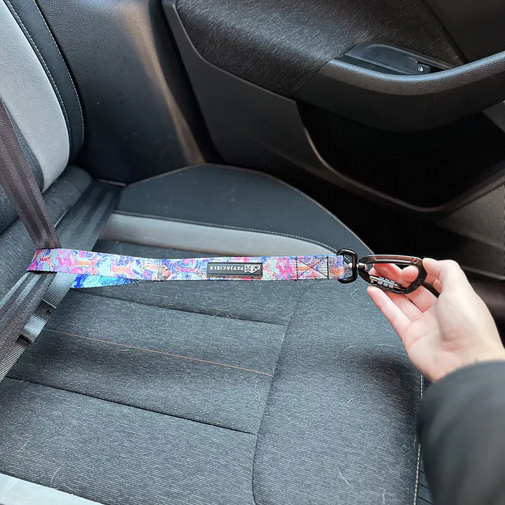 "Love, Equality, Teethers" Loop attached to the car belt - Master