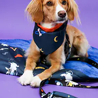 Mata "I need Space" - Master