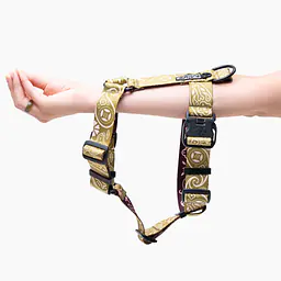 Szelki dla psa lub kota typu guard "Bandana no drama" MATCHA - Master