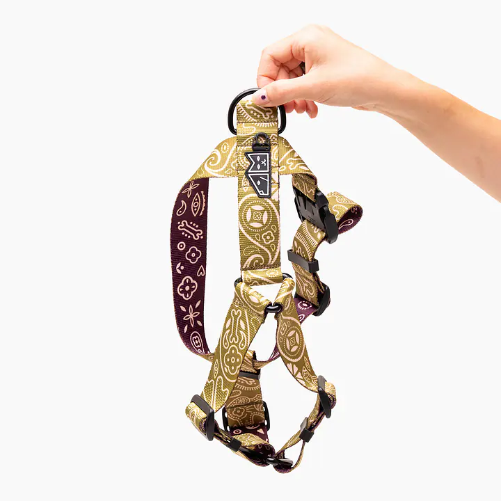 Szelki dla psa lub kota typu guard "Bandana no drama" MATCHA - Master