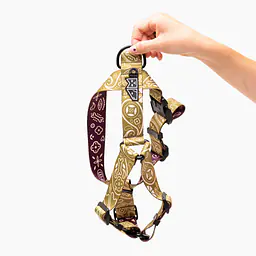 Szelki dla psa lub kota typu guard "Bandana no drama" MATCHA - Master