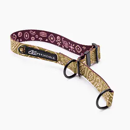 Obroża półzaciskowa dla psa lub kota "Bandana no drama" MATCHA - Master