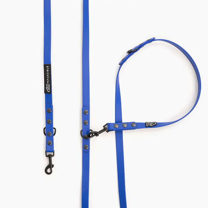 "Indigo AF" Biothane® leash - Master