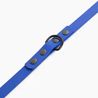 "Indigo AF" Biothane® leash - Master