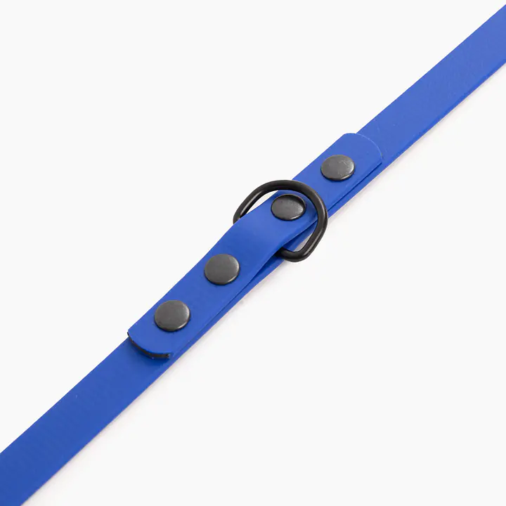 "Indigo AF" Biothane® leash - Master