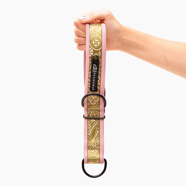 Obroża półzaciskowa SUPER SOFT "Bandana no drama" MATCHA - Master