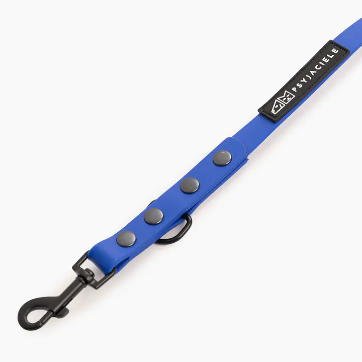 "Indigo AF" Biothane® leash - Master