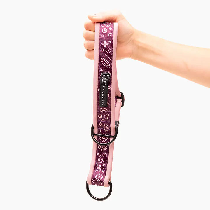 Obroża półzaciskowa SUPER SOFT "Bandana no drama" BAKŁAŻAN - Master
