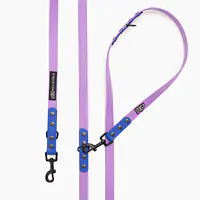 "Lilac with Indigo" Biothane® leash - Master