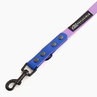 "Lilac with Indigo" Biothane® leash - Master