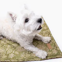 Double sided mat for dog or cat - pattern: Bandana no drama, Size: M