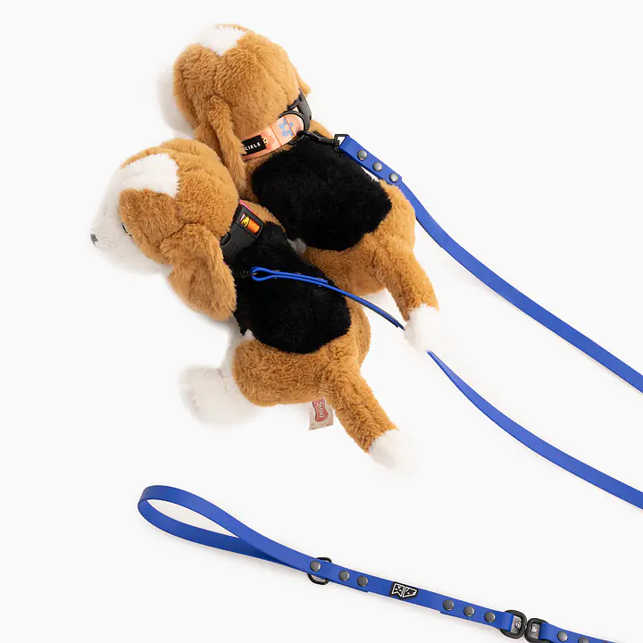 Biothane® leash for 2 dogs - Master