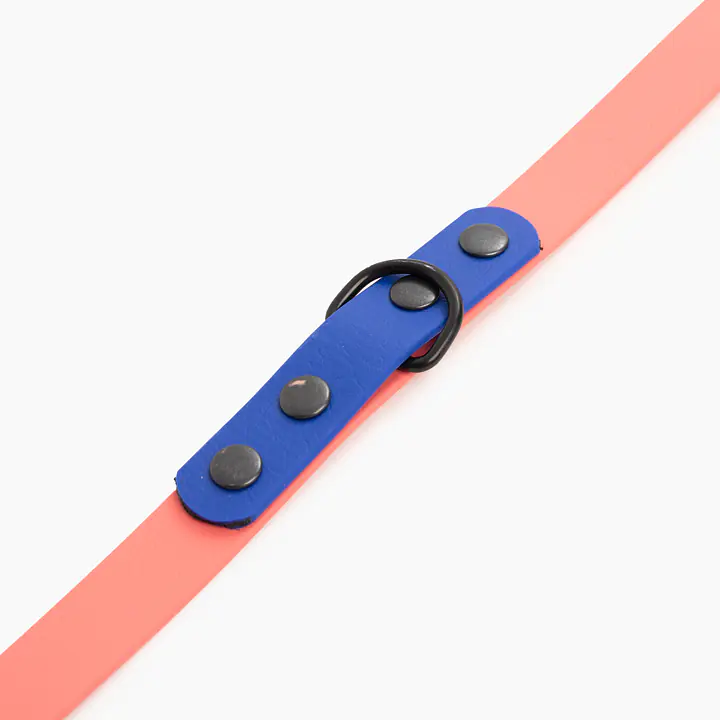 "Coral with Indigo" Biothane® leash - Master