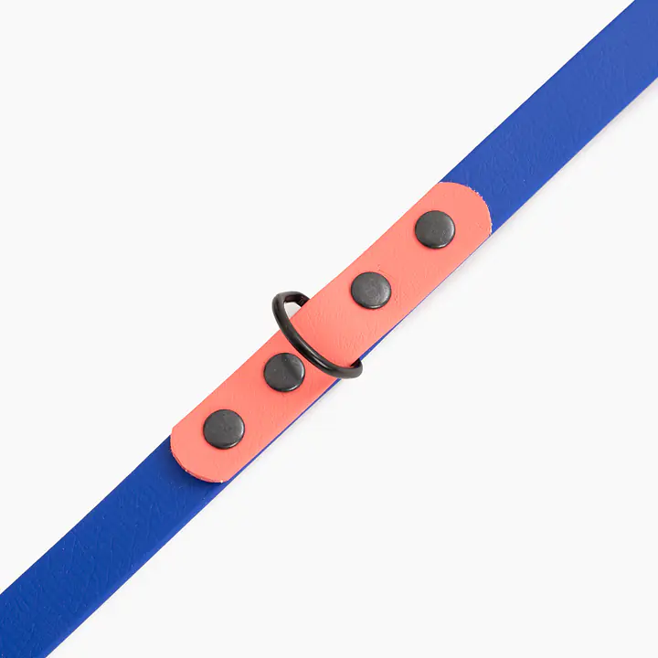 "Indigo with Coral" Biothane® leash - Master