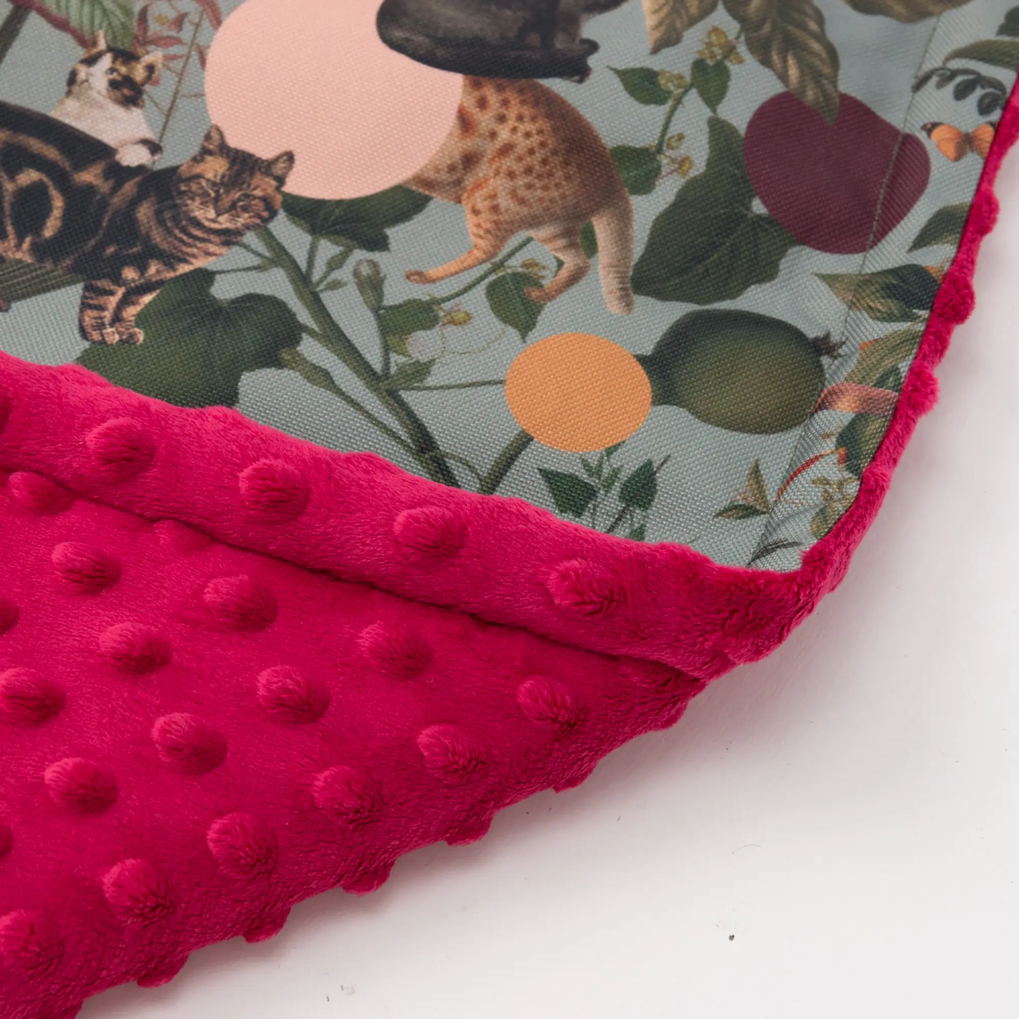 Mata "Kotolaż" - Master