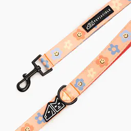 Smycz miejska dla psa lub kota "Oopsy Daisy" - Master