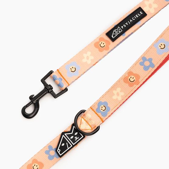 "Oopsy Daisy" city leash