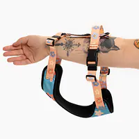 Szelki bezuciskowe dla psa lub kota "Oopsy Daisy" - Master