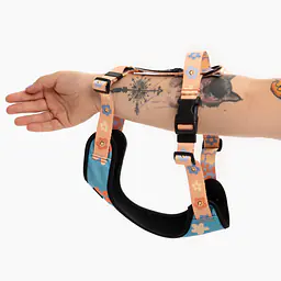 Dog or cat pressure free harness "Oopsy Daisy" - Master