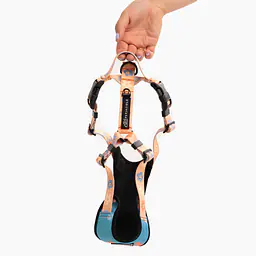 Dog or cat pressure free harness "Oopsy Daisy" - Master