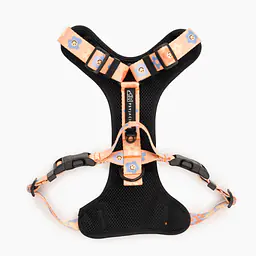 Dog or cat pressure free harness "Oopsy Daisy" - Master