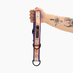 Obroża półzaciskowa SUPER SOFT "Oopsy Daisy" - Master