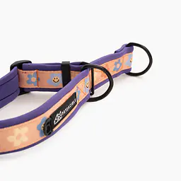 Obroża półzaciskowa SUPER SOFT "Oopsy Daisy" - Master