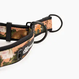 Obroża półzaciskowa SUPER SOFT "Wie wiórka co dobre" - Master