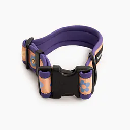 SUPER SOFT dog collar "Oopsy Daisy" - Master