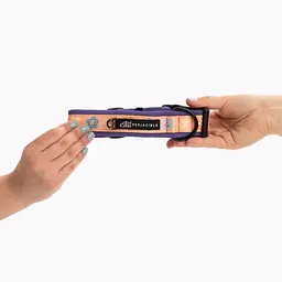 SUPER SOFT dog collar "Oopsy Daisy" - Master