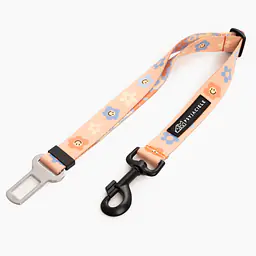 "Oopsy Daisy" car belts - Master