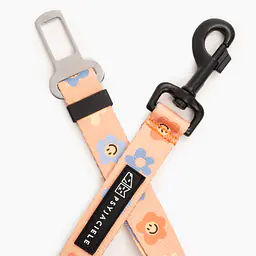 "Oopsy Daisy" car belts - Master