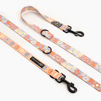 Smycz przepinana dla psa lub kota "Oopsy Daisy" - Master