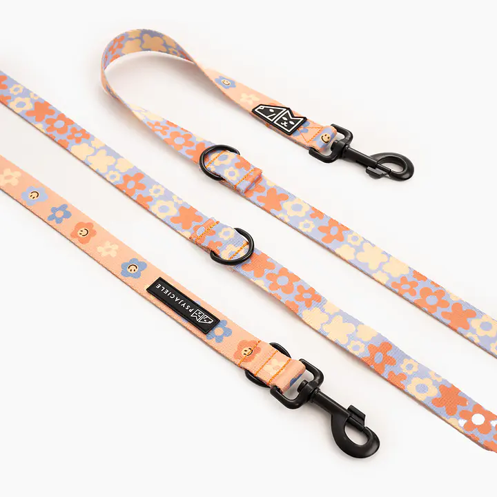 Smycz przepinana dla psa lub kota "Oopsy Daisy" - Master