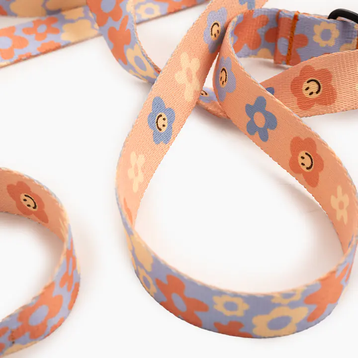 Smycz przepinana dla psa lub kota "Oopsy Daisy" - Master
