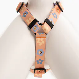 COPY OF "Love, Equality, Teethers" dog or cat harness - Master