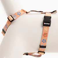 Szelki dla psa lub kota typu guard "Oopsy Daisy" - Master