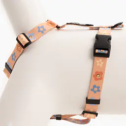 COPY OF "Love, Equality, Teethers" dog or cat harness - Master