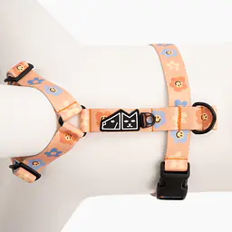 COPY OF "Love, Equality, Teethers" dog or cat harness - Master