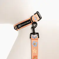 Obroża dla psa lub kota "Oopsy Daisy" - Master