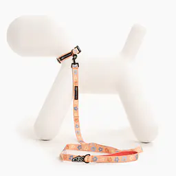 Obroża dla psa lub kota "Oopsy Daisy" - Master