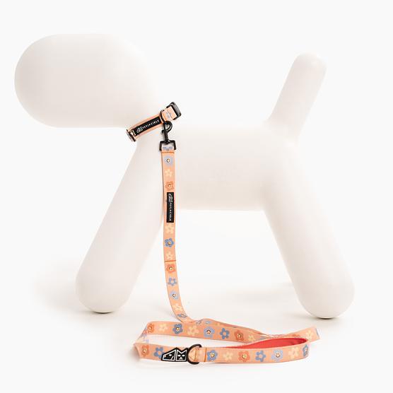 Obroża dla psa lub kota "Oopsy Daisy"