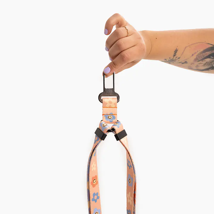 Pas samochodowy dla 2 psów  - Master